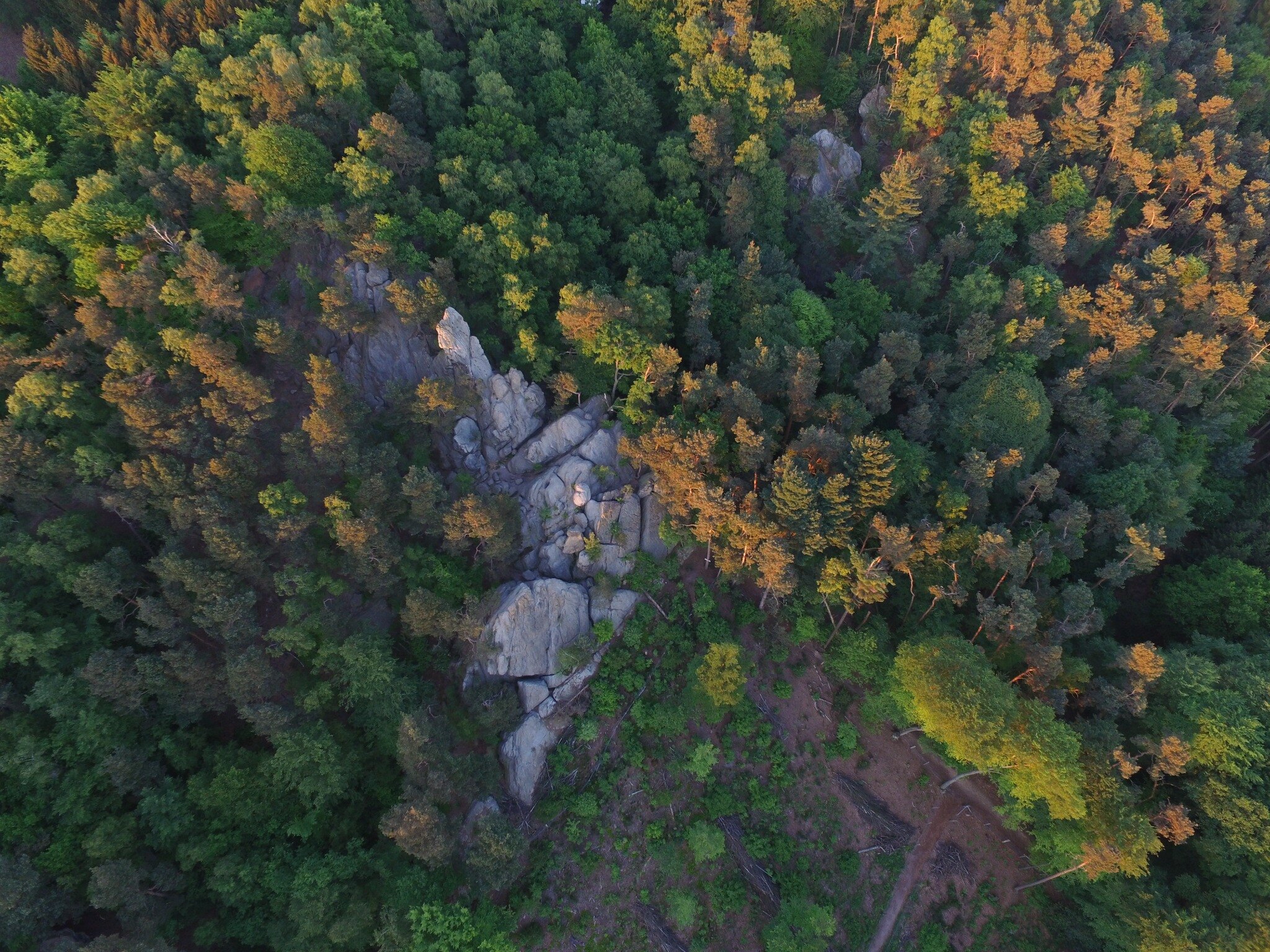 Dörenther Klippen im Teutoburger Wald aus der Luft