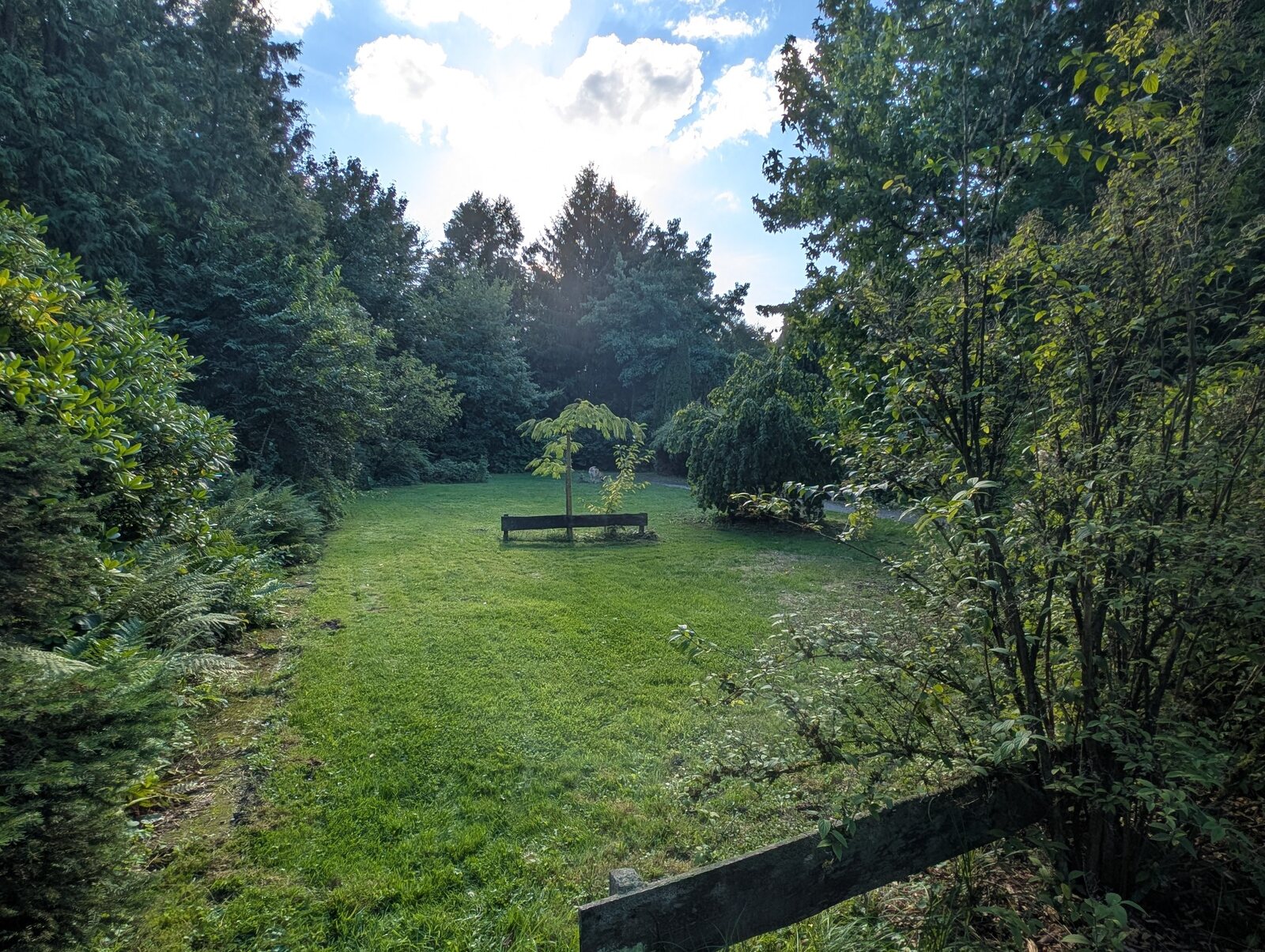 Parkähnliche Grünfläche mit altem Baumbestand